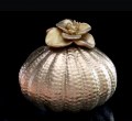 209061 2026 Urn bloem 800